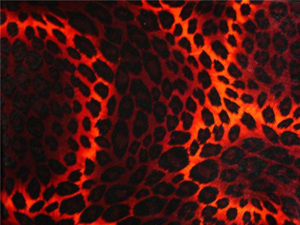 Velour Leopard